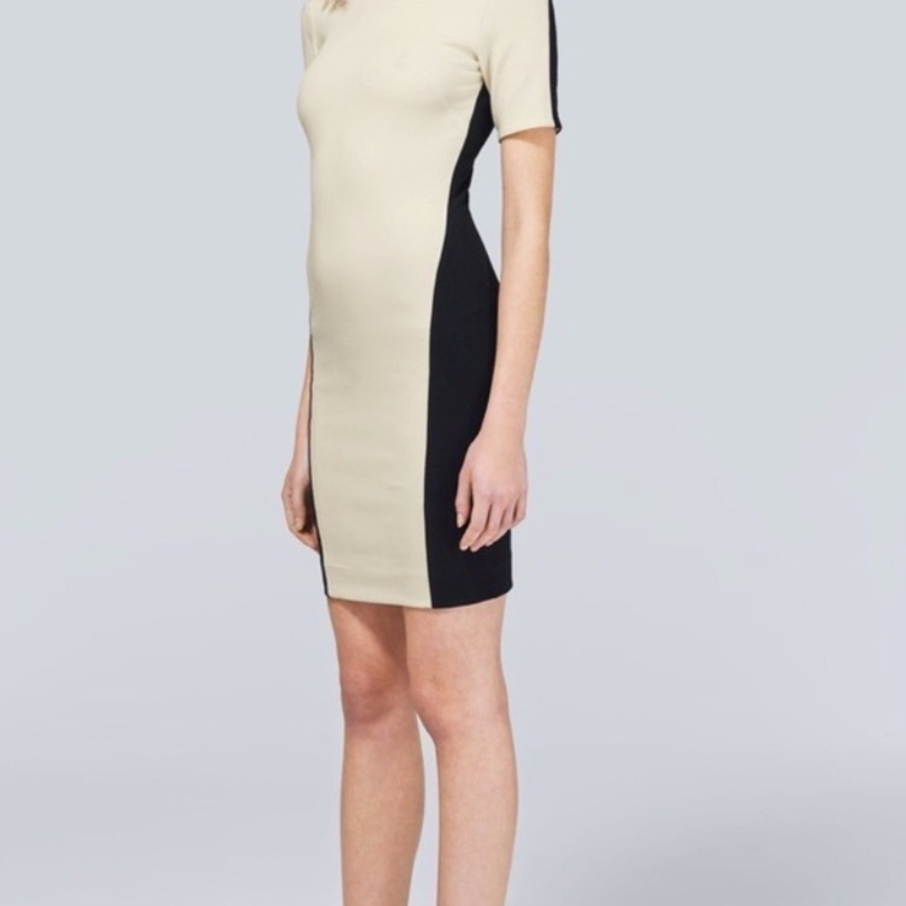 ⭐️HP⭐️ Aritzia Bodycon dress- small - Picture 2 of 12